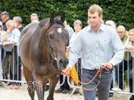 PN030825-128 - Len
